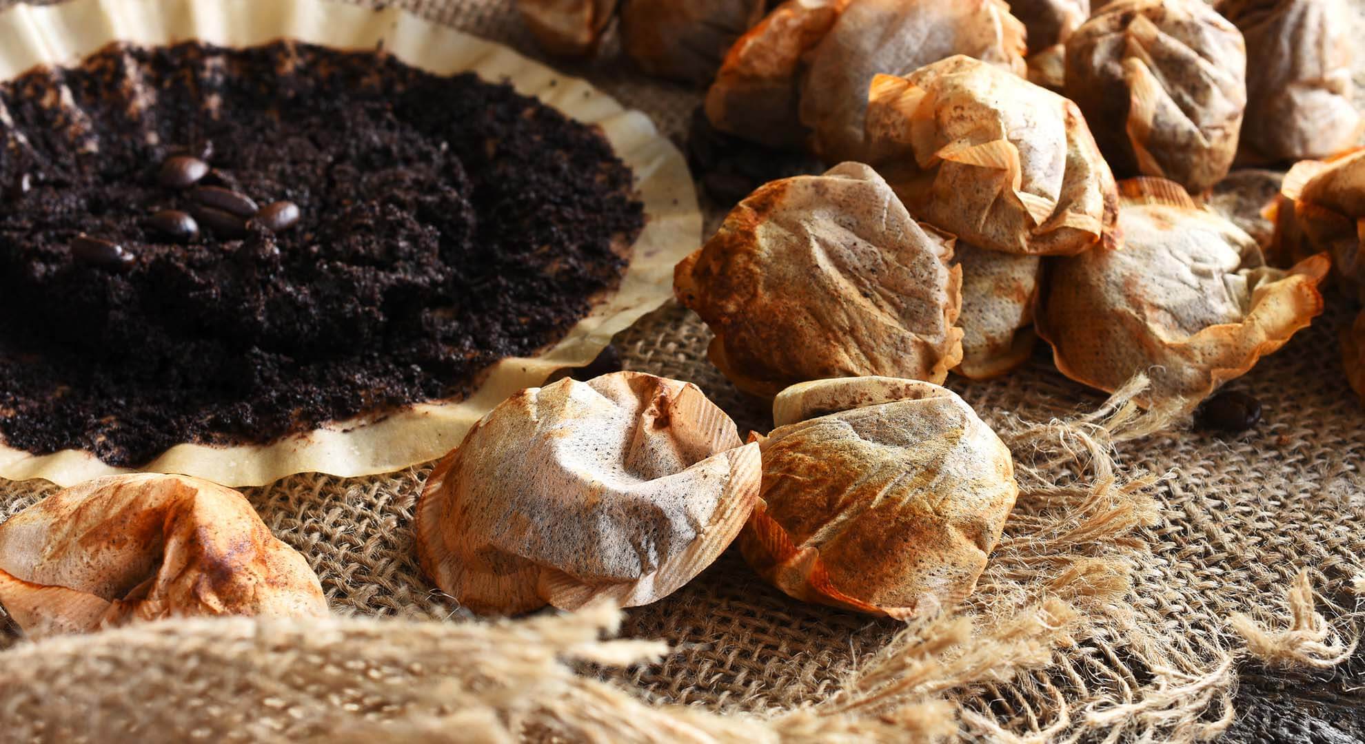 What to do with teabags and coffee grounds? Zero Waste Scotland